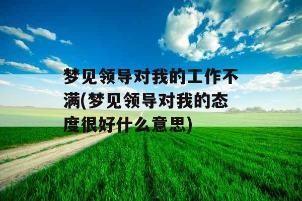 梦见领导对我的工作不满(梦见领导对我的态度很好什么意思)