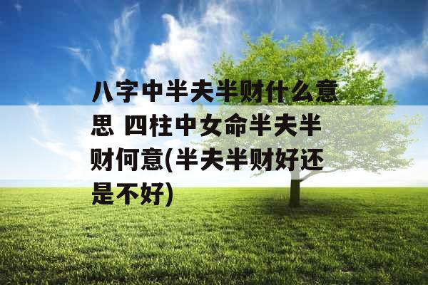 八字中半夫半财什么意思 四柱中女命半夫半财何意(半夫半财好还是不好)