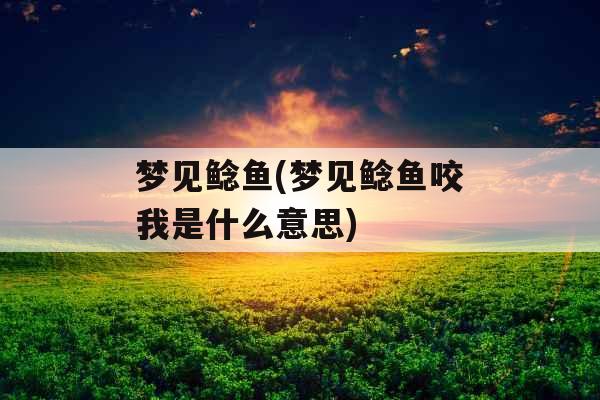 梦见鲶鱼(梦见鲶鱼咬我是什么意思) 梦见鲶鱼(梦见鲶鱼咬我是什么意思)