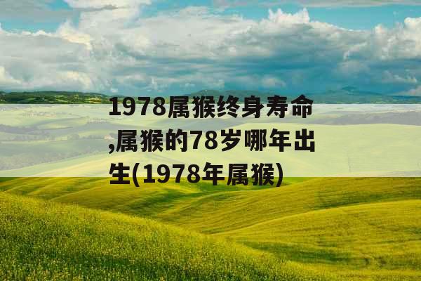1978属猴终身寿命,属猴的78岁哪年出生(1978年属猴)