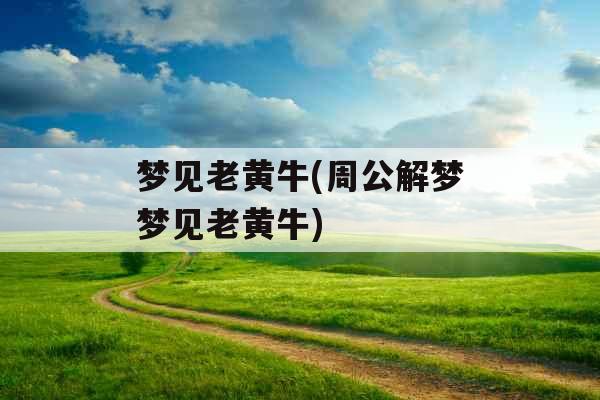 梦见老黄牛(周公解梦梦见老黄牛) 梦见老黄牛(周公解梦梦见老黄牛)