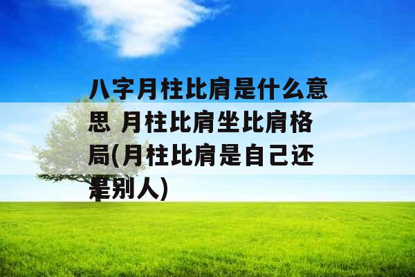 八字月柱比肩是什么意思 月柱比肩坐比肩格局(月柱比肩是自己还是别人)