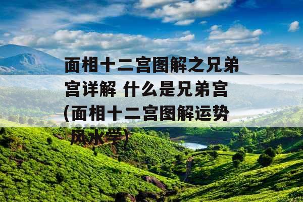 面相十二宫图解之兄弟宫详解 什么是兄弟宫(面相十二宫图解运势 风水学)