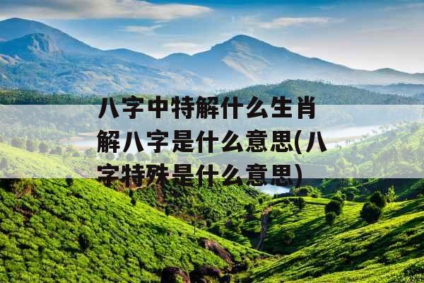 八字中特解什么生肖 解八字是什么意思(八字特殊是什么意思)