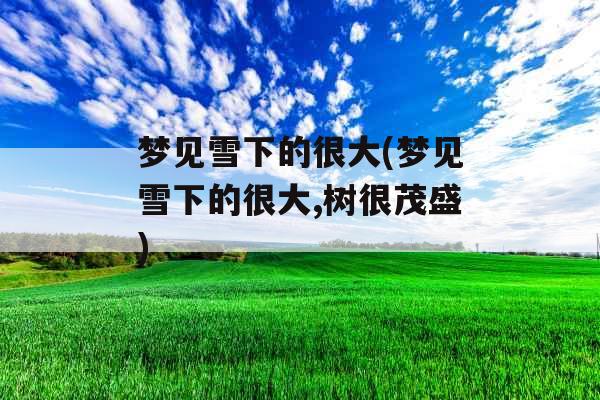 梦见雪下的很大(梦见雪下的很大,树很茂盛)