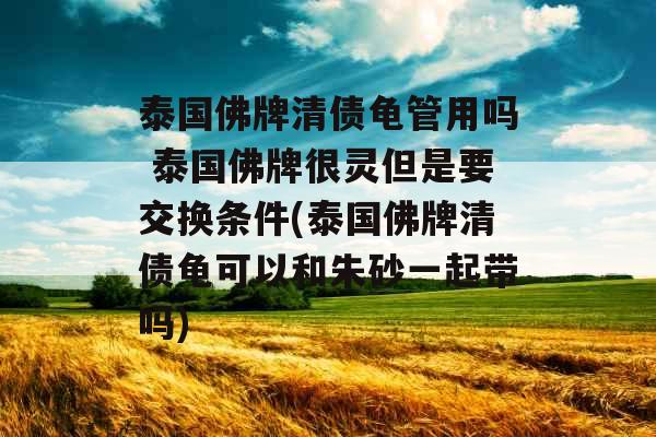 泰国佛牌清债龟管用吗 泰国佛牌很灵但是要交换条件(泰国佛牌清债龟可以和朱砂一起带吗)