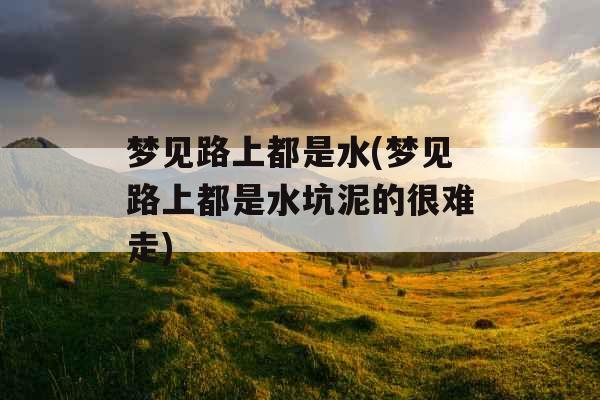 梦见路上都是水(梦见路上都是水坑泥的很难走)