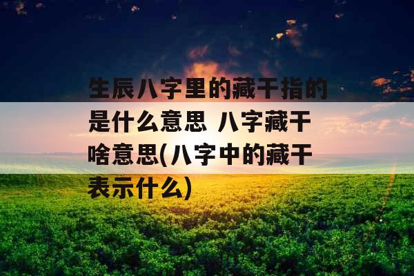 生辰八字里的藏干指的是什么意思 八字藏干啥意思(八字中的藏干表示什么)