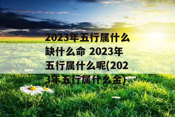 2023年五行属什么缺什么命 2023年五行属什么呢(2023年五行属什么金)