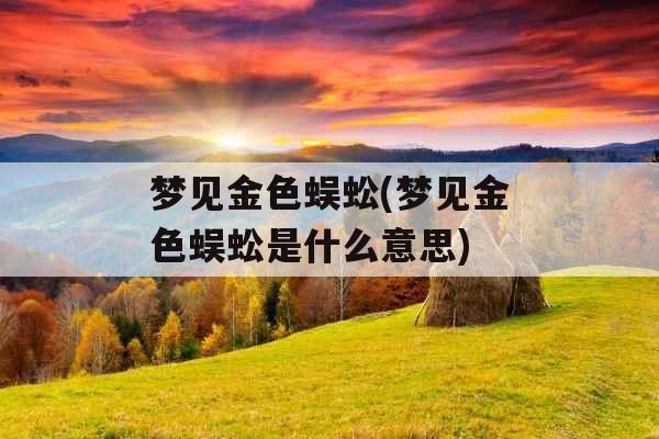 梦见金色蜈蚣(梦见金色蜈蚣是什么意思)