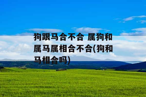 狗跟马合不合 属狗和属马属相合不合(狗和马相合吗)