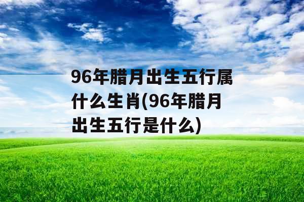 96年腊月出生五行属什么生肖(96年腊月出生五行是什么)