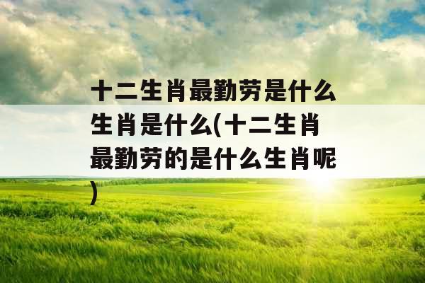 十二生肖最勤劳是什么生肖是什么(十二生肖最勤劳的是什么生肖呢)