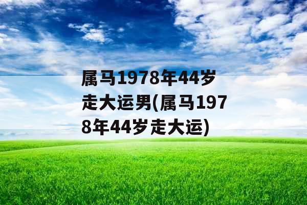 属马1978年44岁走大运男(属马1978年44岁走大运)
