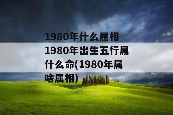 1980年什么属相 1980年出生五行属什么命(1980年属啥属相)