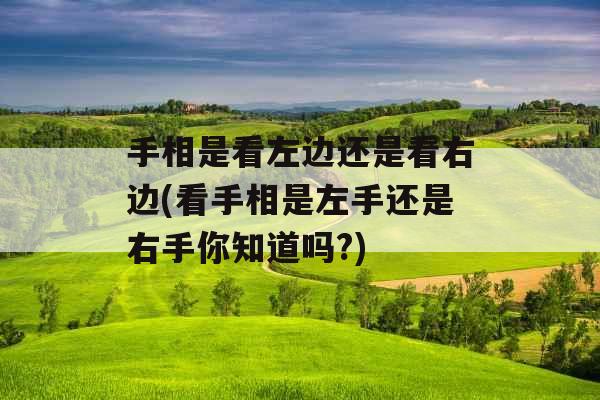 手相是看左边还是看右边(看手相是左手还是右手你知道吗?)