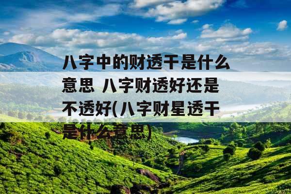 八字中的财透干是什么意思 八字财透好还是不透好(八字财星透干是什么意思)