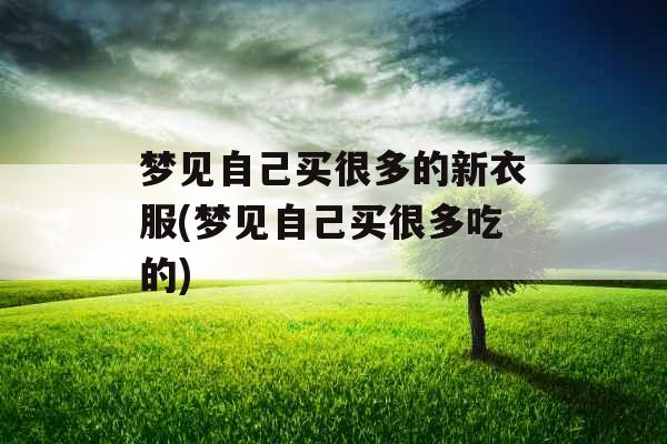 梦见自己买很多的新衣服(梦见自己买很多吃的)