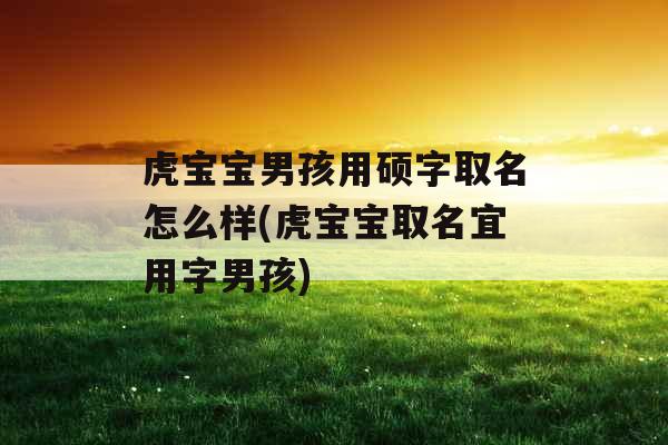 虎宝宝男孩用硕字取名怎么样(虎宝宝取名宜用字男孩)