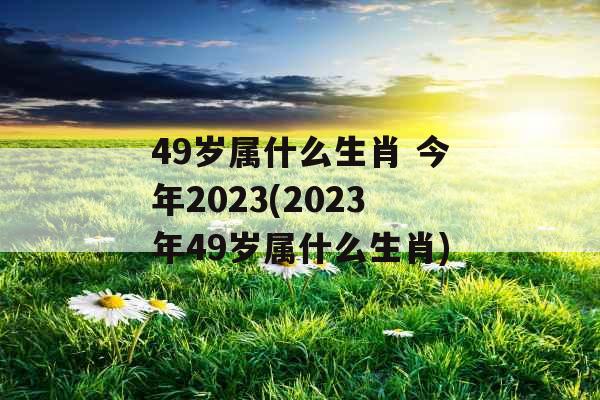 49岁属什么生肖 今年2023(2023年49岁属什么生肖)