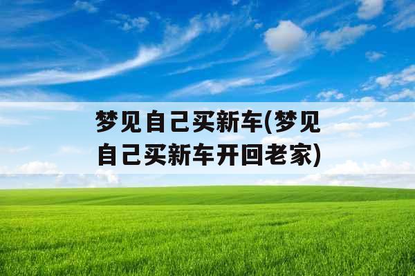 梦见自己买新车(梦见自己买新车开回老家)