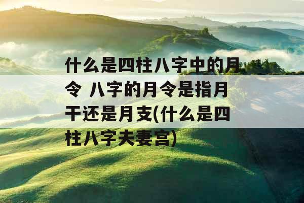 什么是四柱八字中的月令 八字的月令是指月干还是月支(什么是四柱八字夫妻宫)