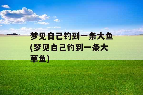 梦见自己钓到一条大鱼(梦见自己钓到一条大草鱼)
