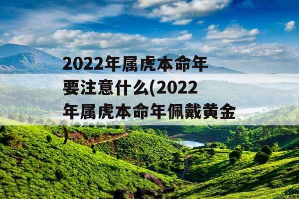 2022年属虎本命年要注意什么(2022年属虎本命年佩戴黄金)