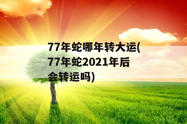 77年蛇哪年转大运(77年蛇2021年后会转运吗)