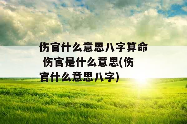 伤官什么意思八字算命 伤官是什么意思(伤官什么意思八字)