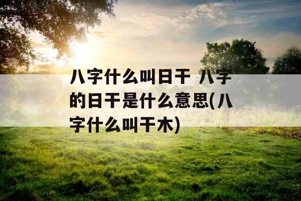 八字什么叫日干 八字的日干是什么意思(八字什么叫干木)
