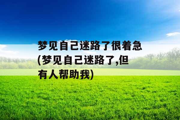梦见自己迷路了很着急(梦见自己迷路了,但有人帮助我)