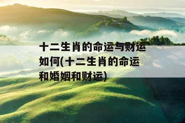 十二生肖的命运与财运如何(十二生肖的命运和婚姻和财运)