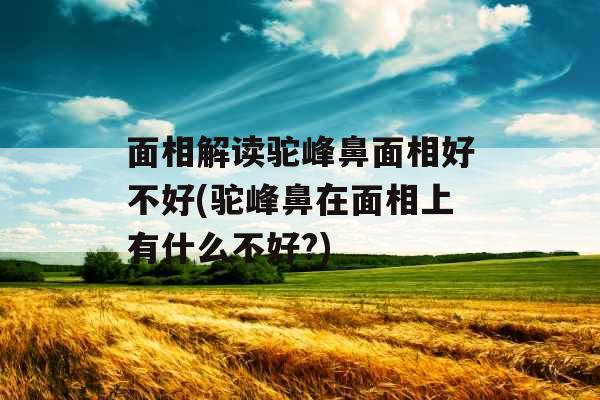 面相解读驼峰鼻面相好不好(驼峰鼻在面相上有什么不好?)