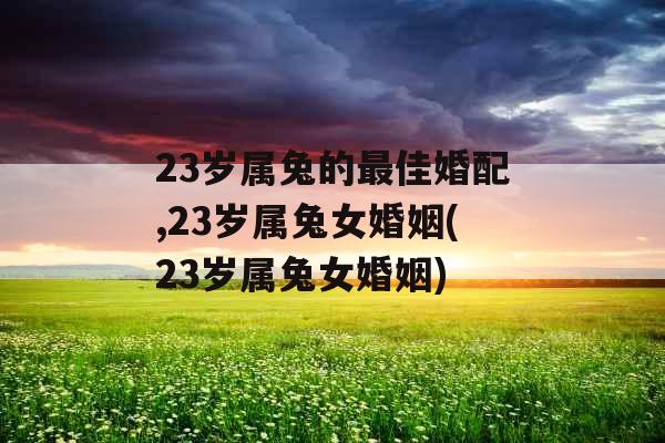 23岁属兔的最佳婚配,23岁属兔女婚姻(23岁属兔女婚姻)
