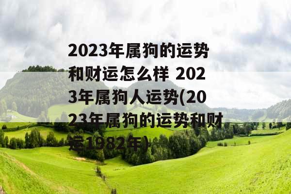 2023年属狗的运势和财运怎么样 2023年属狗人运势(2023年属狗的运势和财运1982年)