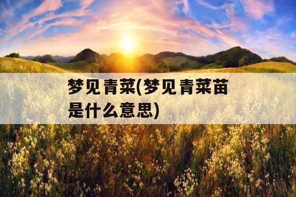 梦见青菜(梦见青菜苗是什么意思)