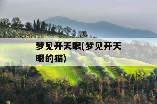 梦见开天眼(梦见开天眼的猫)