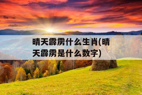 晴天霹雳什么生肖(晴天霹雳是什么数字)