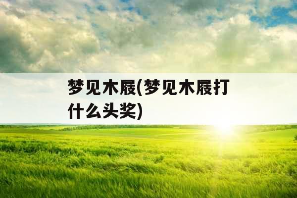 梦见木屐(梦见木屐打什么头奖)