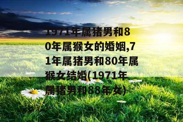 1971年属猪男和80年属猴女的婚姻,71年属猪男和80年属猴女结婚(1971年属猪男和88年女)
