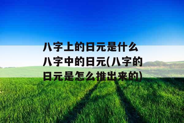 八字上的日元是什么 八字中的日元(八字的日元是怎么推出来的)