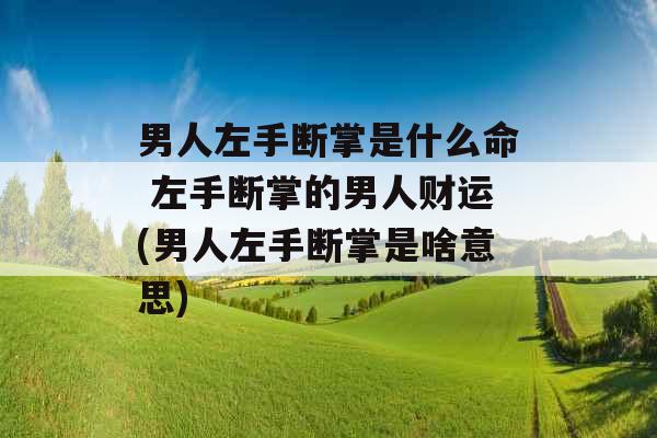 男人左手断掌是什么命 左手断掌的男人财运(男人左手断掌是啥意思)