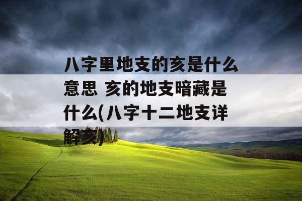 八字里地支的亥是什么意思 亥的地支暗藏是什么(八字十二地支详解亥)