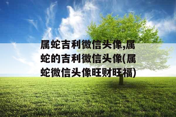 属蛇吉利微信头像,属蛇的吉利微信头像(属蛇微信头像旺财旺福) 属蛇吉利微信头像,属蛇的吉利微信头像(属蛇微信头像旺财旺福)