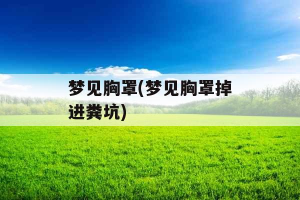 梦见胸罩(梦见胸罩掉进粪坑)