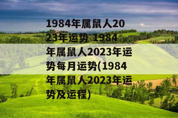 1984年属鼠人2023年运势 1984年属鼠人2023年运势每月运势(1984年属鼠人2023年运势及运程)