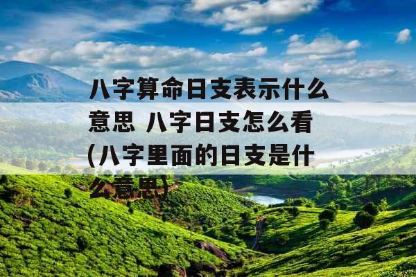 八字算命日支表示什么意思 八字日支怎么看(八字里面的日支是什么意思)