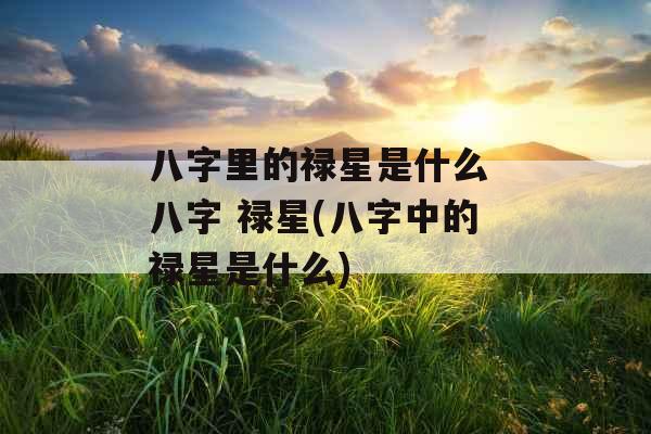 八字里的禄星是什么 八字 禄星(八字中的禄星是什么)