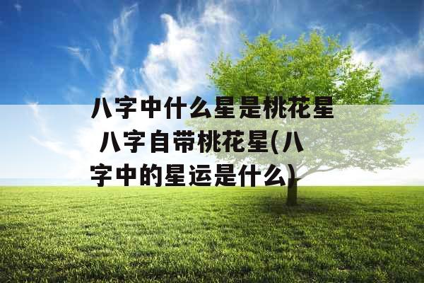 八字中什么星是桃花星 八字自带桃花星(八字中的星运是什么)